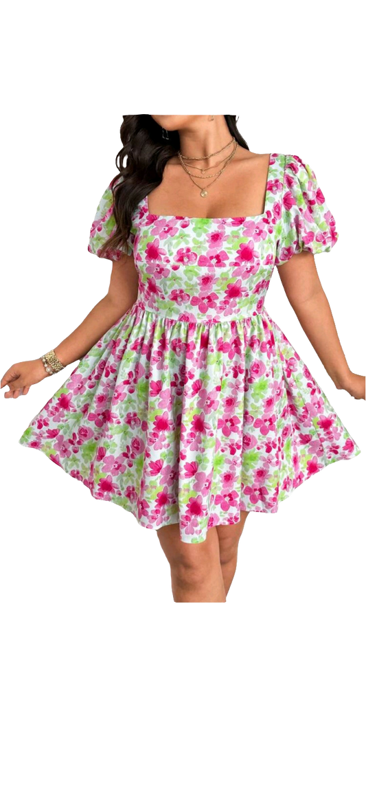Dresses