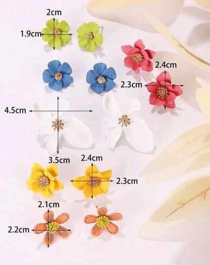 Women accessories $25 each pair